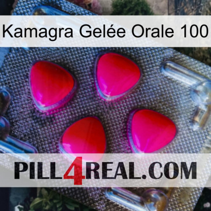 Kamagra Gelée Orale 100 13